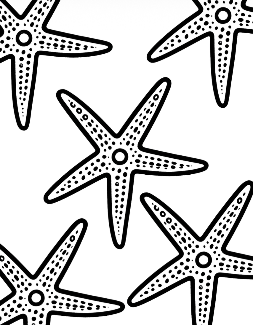 COMING SOON: A Little Book About Summer